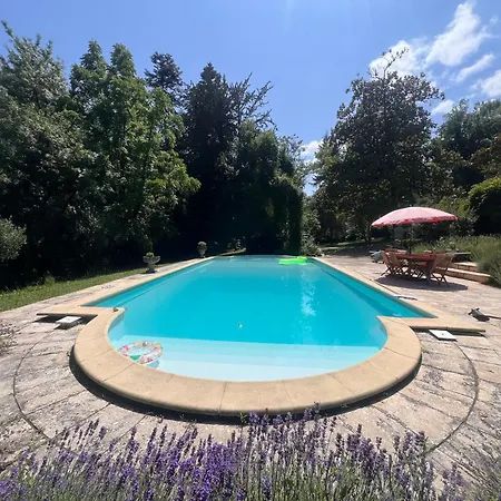 Chateau La Palue Close To Saint-emilion