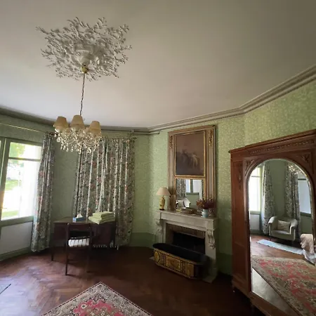 Chateau La Palue Close To Saint-emilion *